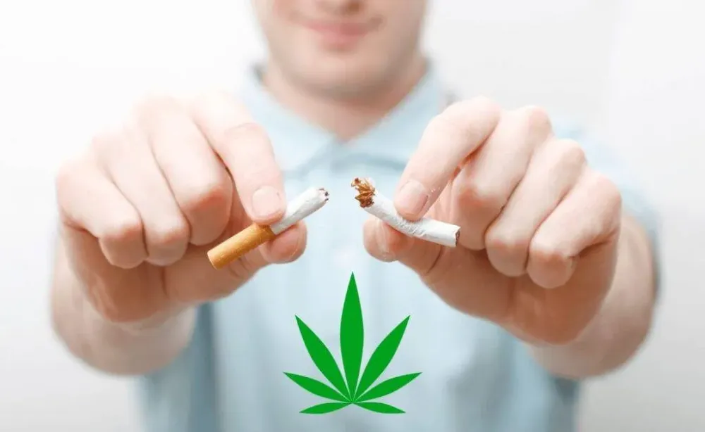 Le CBD peut-il aider à arrêter de fumer?